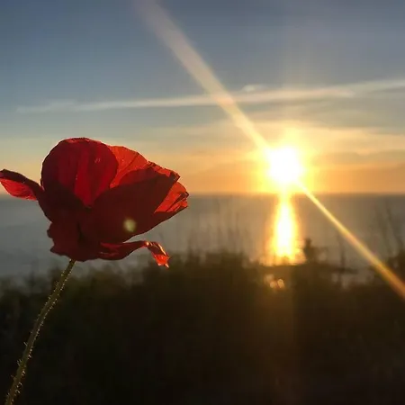 L Hippocampe Appartement