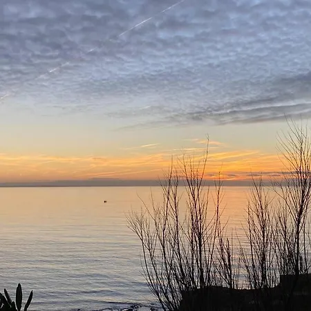 L Hippocampe Appartement