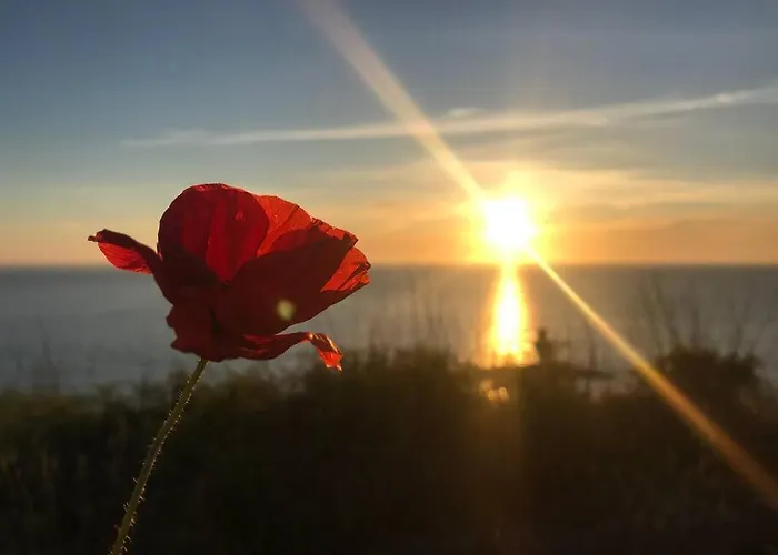 L Hippocampe Appartement