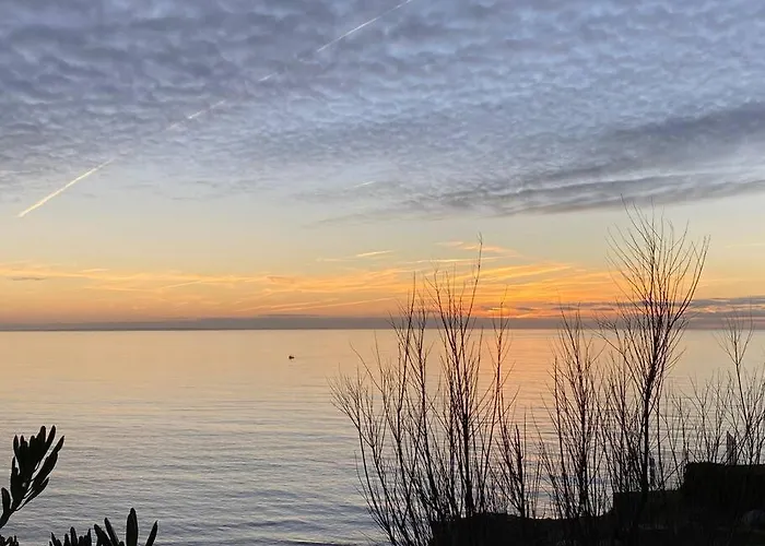 L Hippocampe Appartement